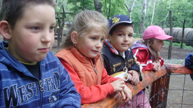 2011 05 02 Vadaspark 032.jpg